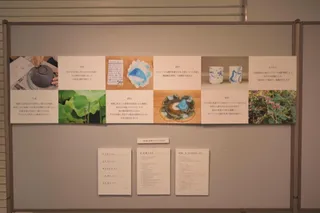 わん碗ONE_第14回_レジェンド展4