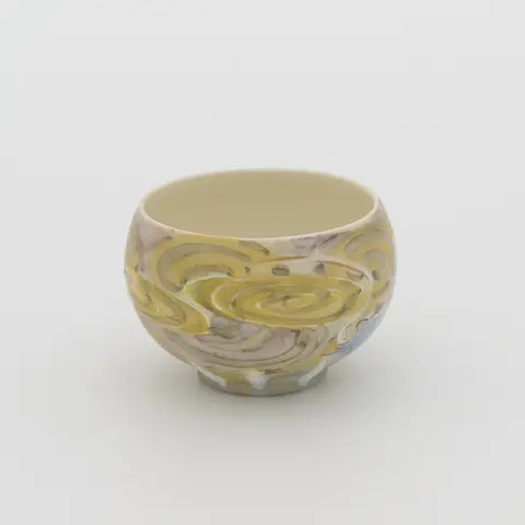 龍珠 盃